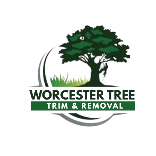 Worcester Tree Trim & Removal logo 2