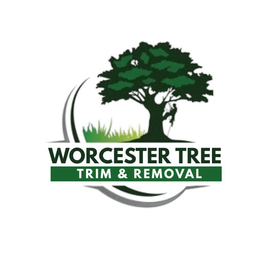 Worcester Tree Trim & Removal logo