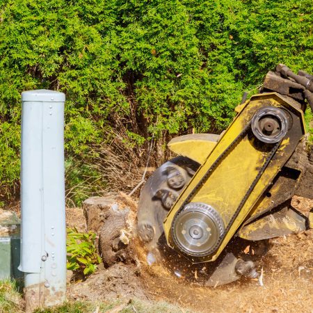 maching cutting tree maching cutting tree